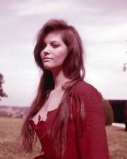 Claudia Cardinale looks beautiful in very low cut red dress 1960's 24x36 Poster picture