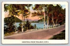 c1920s Rural Road Lake Greetings From Wellman Iowa P88A picture