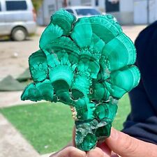 347G Natural glossy Malachite transparent cluster rough mineral sample picture