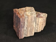 2lb 11oz Petrified Wood Piece from Northeastern Arizona picture