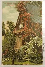 Portland Oregon Home at Rosetime w Woman on Balcony & Dog Postcard picture