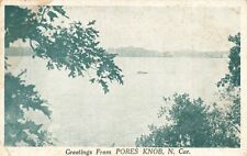 c1920s Greetings From Pores Knob North Carolina NC  P549 picture