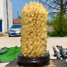20LBTreatment of Newly Discovered Yellow Phantom Quartz Crystal Cluster Mineral picture