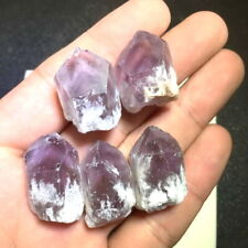 5pcs Amethyst Dragon Tooth Points Crystal Chakra Jewelry Gemstone DIY picture