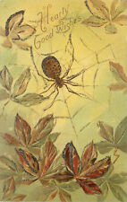 Embossed Postcard; Orb Weaver Spider in Web, Hearty Good Wishes picture