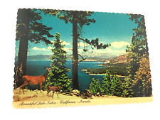 Lake Tahoe California Nevada Postcard Photo Dexter Supreme Deer Wildlife Vintage picture