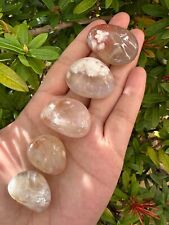 Grade A++ Flower Agate Tumbled Stones, 0.75