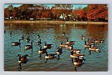 Janesville WI-Wisconsin, Geese, Scenic Greetings, Vintage c1977 Postcard picture
