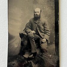 Antique Tintype Photograph Interesting Man Bald Head Thick Beard picture