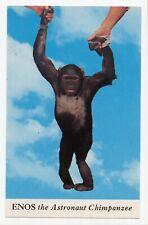 Enos the Astronaut Chimpanzee who Orbited Earth 1960s Unposted Chrome Postcard picture