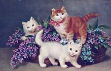 Three Cats And Box Of Flowers Postcard picture