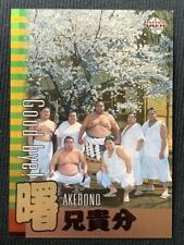 Bbm 2001 Sumo Card Insert Ak7 Akebono picture