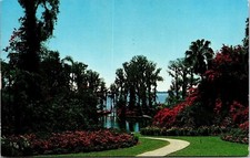 Tropical Vegetation Florida Postcard PM Miami Beach FL Cancel WOB Note VTG picture