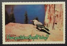 Bird Have You Taken the Pill Today Vintage Comic Postcard Unposted  picture