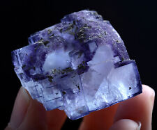 51g Natural Phantom Purple Fluorite & Pyrite Mineral Specimen/Yaogangxian China picture