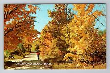 Drummond Island MI-Michigan, General Greeting, Scenic Fall Road Vintage Postcard picture