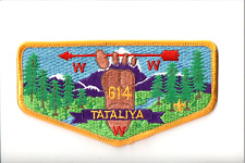 Lodge 614 Tataliya S2 OA flap picture