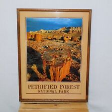 PETRIFIED FOREST NATIONAL PARK Photo Print Poster on Hardboard 25 X 19 Oak Frame picture