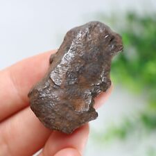 33g Gebel Kamil iron meteorite, from Egypt, Space Gift, meteorite, specimen R973 picture