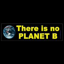 There is no Planet B BUMPER STICKER or MAGNET magnetic climate change ecology picture