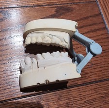 Vintage Plaster Dental Study Model Teeth Cast Medical Oddity Prop Curiosity picture