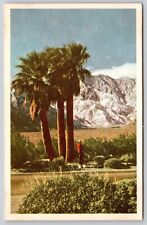 Mount San Jacinto Palm Springs Snow Covered Slopes Mountains Vintage Postcard picture