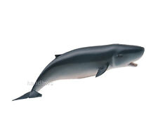 CollectA 88653 Pygmy Sperm Whale Sealife Toy Model Figurine 2014 - NIP picture
