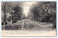 c1905 Entrance Kodak Park Dirt Road Fence Trees Rochester New York NY Postcard picture