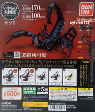 Bandai The Diversity of Life on Earth Scorpion Action Figure Gashapon Set of 5 picture