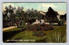 San Antonio TX-Texas, Alamo Palms Vintage Souvenir Postcard picture