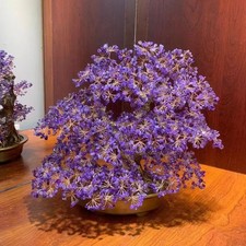 Amethyst Quartz Crystal Bonsai Tree Energy Tree Gemstone tree of Life home decor picture