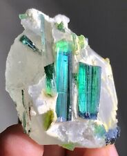 Indicolite Tourmaline Crystal Specimen from Afghanistan 259 Carats (F) 2 picture