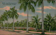 Postcard: DF-10 Las Olas Boulevard, Fort Lauderdale, Florida 4B-H714 picture