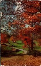 Edmore Michigan MI Fall Foliage Greetings From Marl View Restaurant Postcard picture