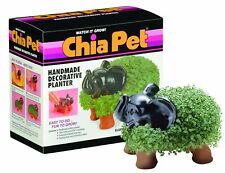 Chia Pet Elephant with Seed Pack, Decorative Pottery Planter, Easy to Do and ... picture