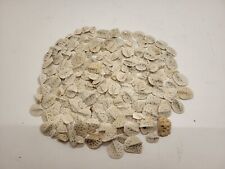 Alligator Scute Extra Small 1/2 Pound Bag For Jewelry Making picture