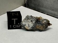 Aubrite Meteorite  1.1g  NWA 15304  STUNNING AUBRITE **From Planet Mercury? picture