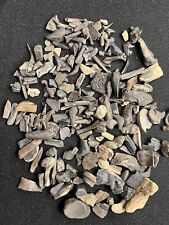 1 Pound Of Dino Bone Fossil Teeth Cretaceous Mix Of Fossils North Mississippi picture
