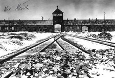 Alex Hershaft autographed 4x6 photo Holocaust survivor WW II Rare COA LOOK picture