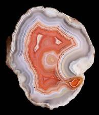 Amazing Laguna Agate from Mexico Stunning Contrast, banding and detail. A truly picture