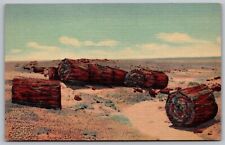 Petrified Forest Arizona Az Drift Logs In Second Forest Linen Unp Postcard picture