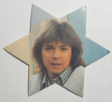 1975 Lyons Maid Pop Stars Die-Cut -  DAVID CASSIDY picture