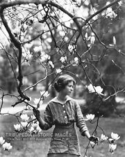 Antique 1914 Edna St Vincent Millay Photo Beautiful Woman Tree Blossoms * Genthe picture