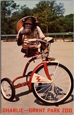 Vintage 1960s GRANT PARK ZOO Atlanta Georgia  Postcard CHARLIE The Chimpanzee picture