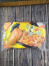 Frito Lay Chester Cheetah Inflatable Store Promotional Display NEW UNUSED SEALED picture