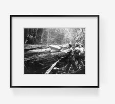 c1899 photograph of Cascade Mountains, near Seattle, Wash.: Cutting shingle bolt picture
