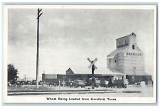 c1920's Wheat Being Loaded On Trucks Building From Hereford Texas TX Postcard picture