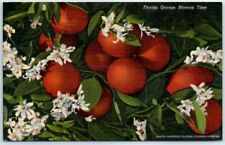 Postcard - Florida Orange Blossom Time picture
