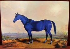 Horse Postcard Big Lex Lexington the Racehorse NEW 2024 Lexington Kentucky picture