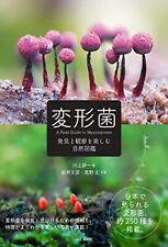 A Field Guide to Myxomycetes Photo Book Deformed bacteria by Kawakami Shinichi picture